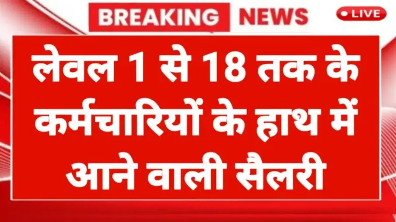 नई बहाली 2025